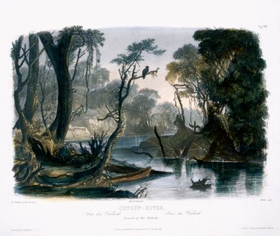 Rivière Cutoff, Branche du Wabash, planche 8 du Volume 1 de 